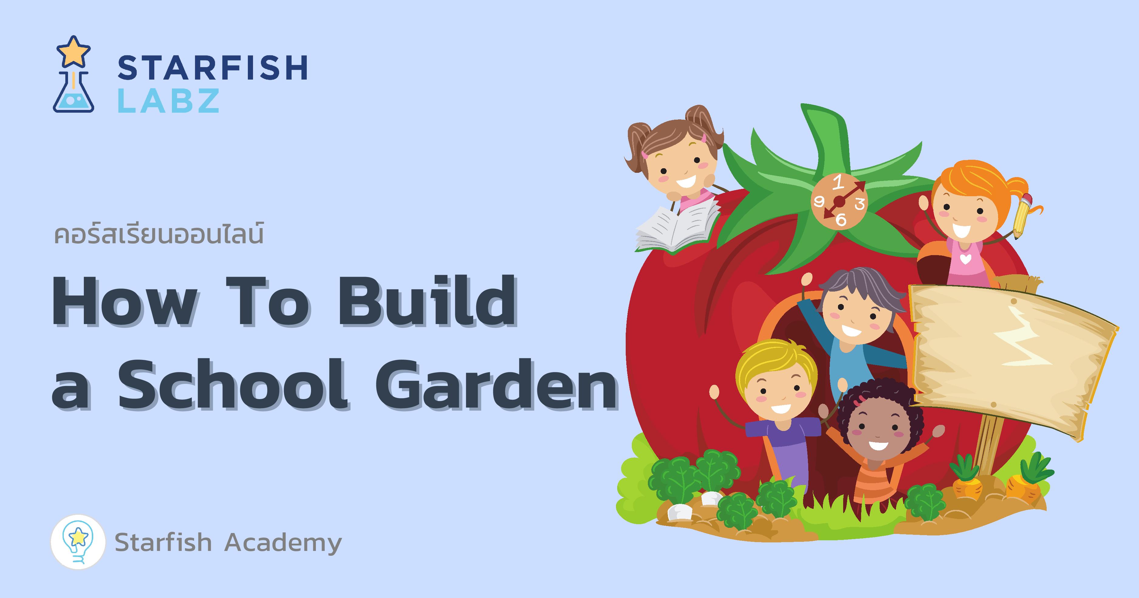 how-to-build-a-school-garden