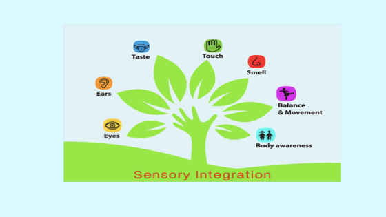 Sensory Integration (SI) ช่วยอะไรกับเด็ก