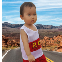 วุฒิพล