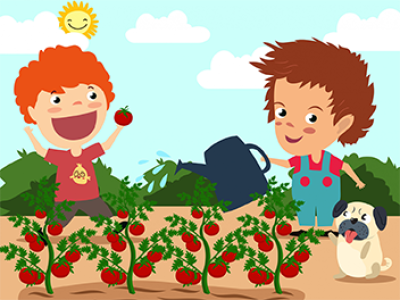 How to Design Your School Garden