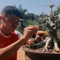 นายเดชา