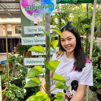 Phichawee