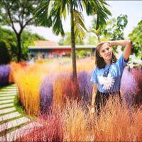 นางวิภาพร