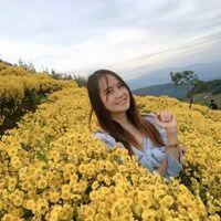 NewNew