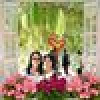 ส้มโอหวาน