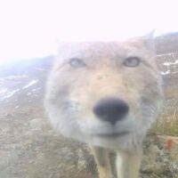 นายปริญญา