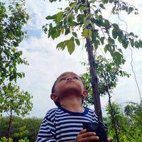 Shah