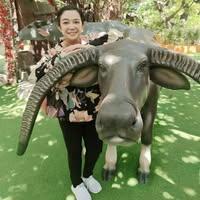 Pakanan