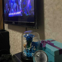 เด็กหญิงยุวมินทรา