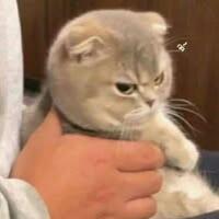 สุมิตรา