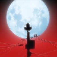 นายปฏิภาณ