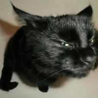 พิธิวัฒน์