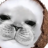 Piesh