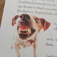 Eeh
