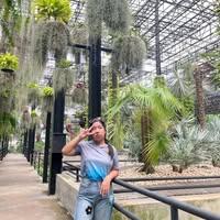 นางสาวขวัญจิตตรา