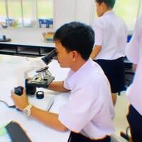 ทินภัทร