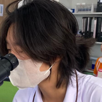 ซี