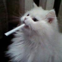 นม