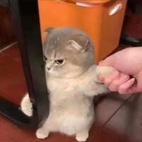 นายต้นน้ำ