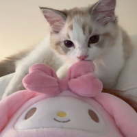 Ari