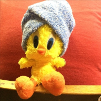 เนตรอัปสร