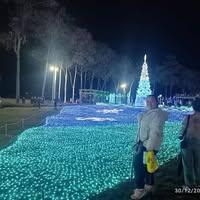 นางสาวดลพร