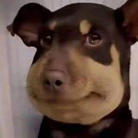 เจียงแสน