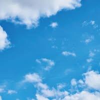 นางสาวมารีน่า