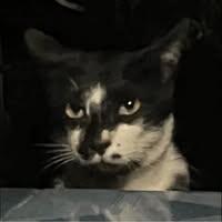 นางสาวเกวลิน