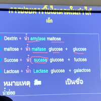 เกียรติกัญญา