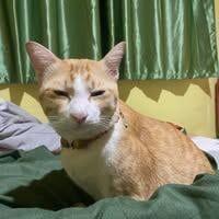 วรลักษณ์