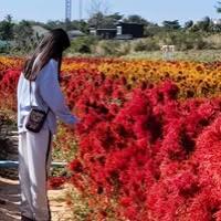 ธิดารัตน์