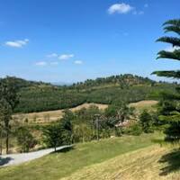 นาย ทัตพงษ์