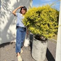 นางสาวรัชดาภรณ์