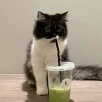 นางสาวขนิษฐา