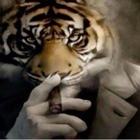 นางสาวภัทรวดี