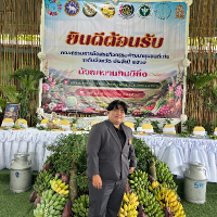 พันธ์วิรา