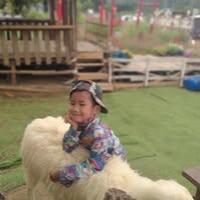 อากิม