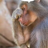 นภัสสร