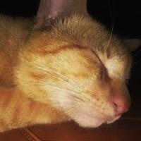 ธิติวุฒิ